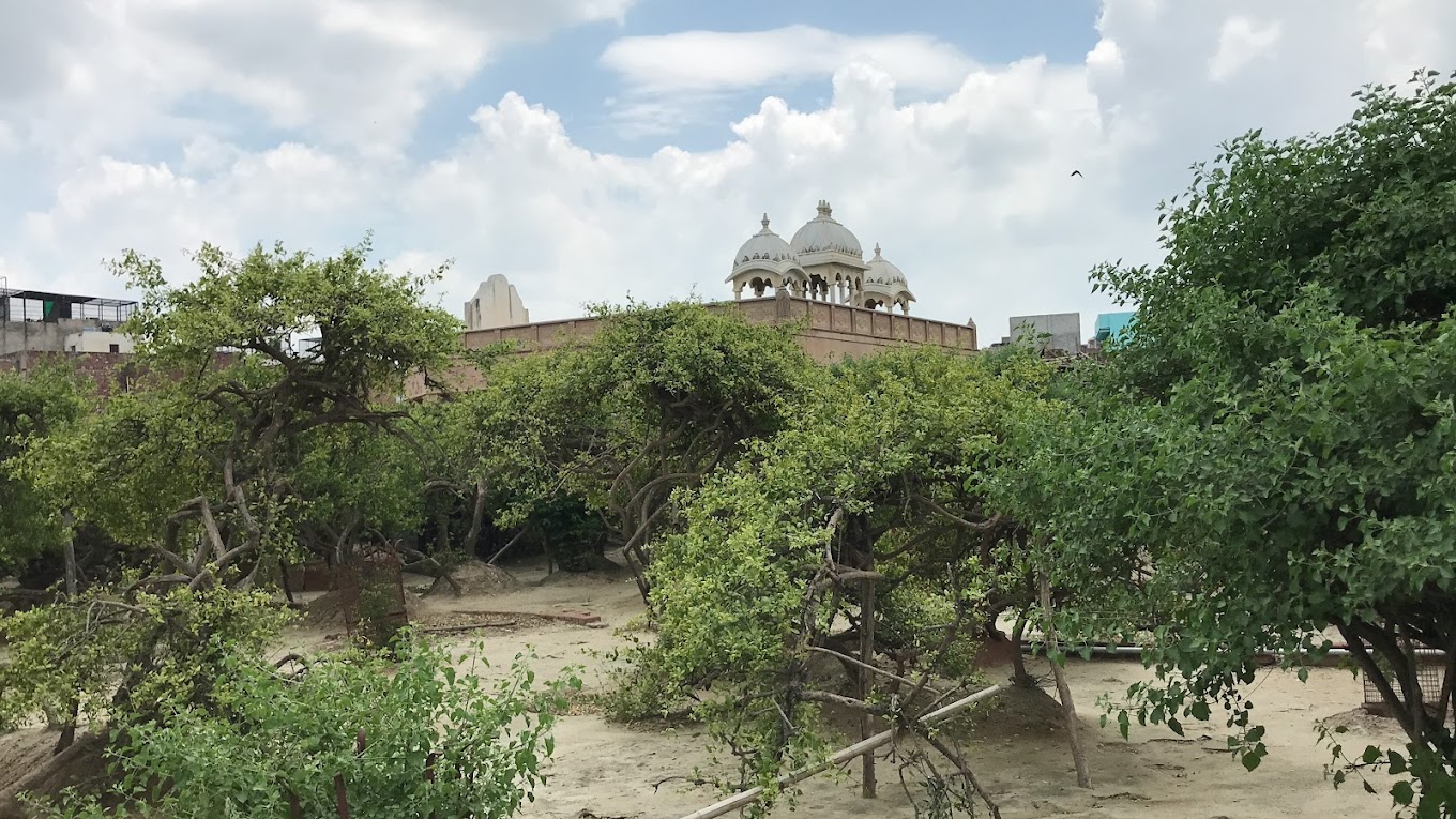 Nidhivan Vrindavan: Where Radha-Krishna Still Perform the Divine Ras Leela — photo 1