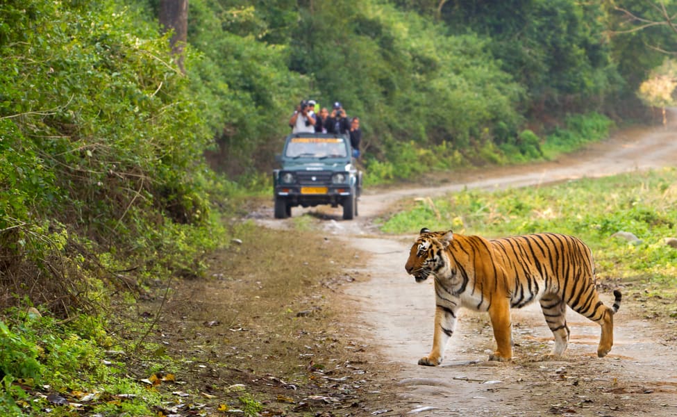 Jim Corbett National Park — photo 1