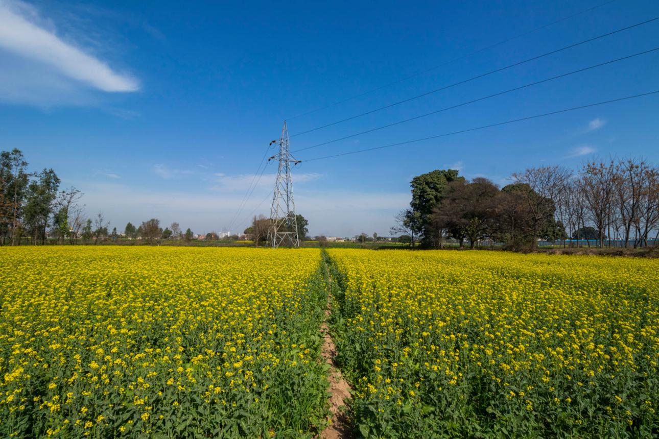 Punjab — photo 1